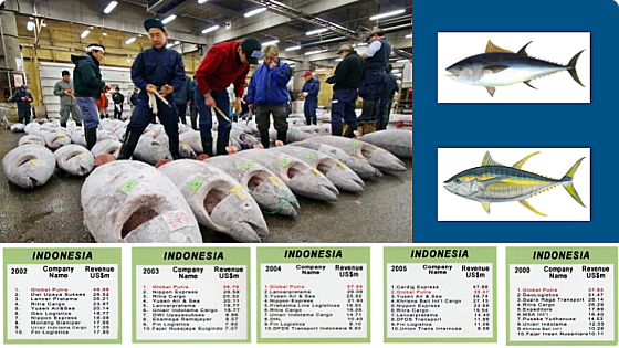 Air Freight Business
