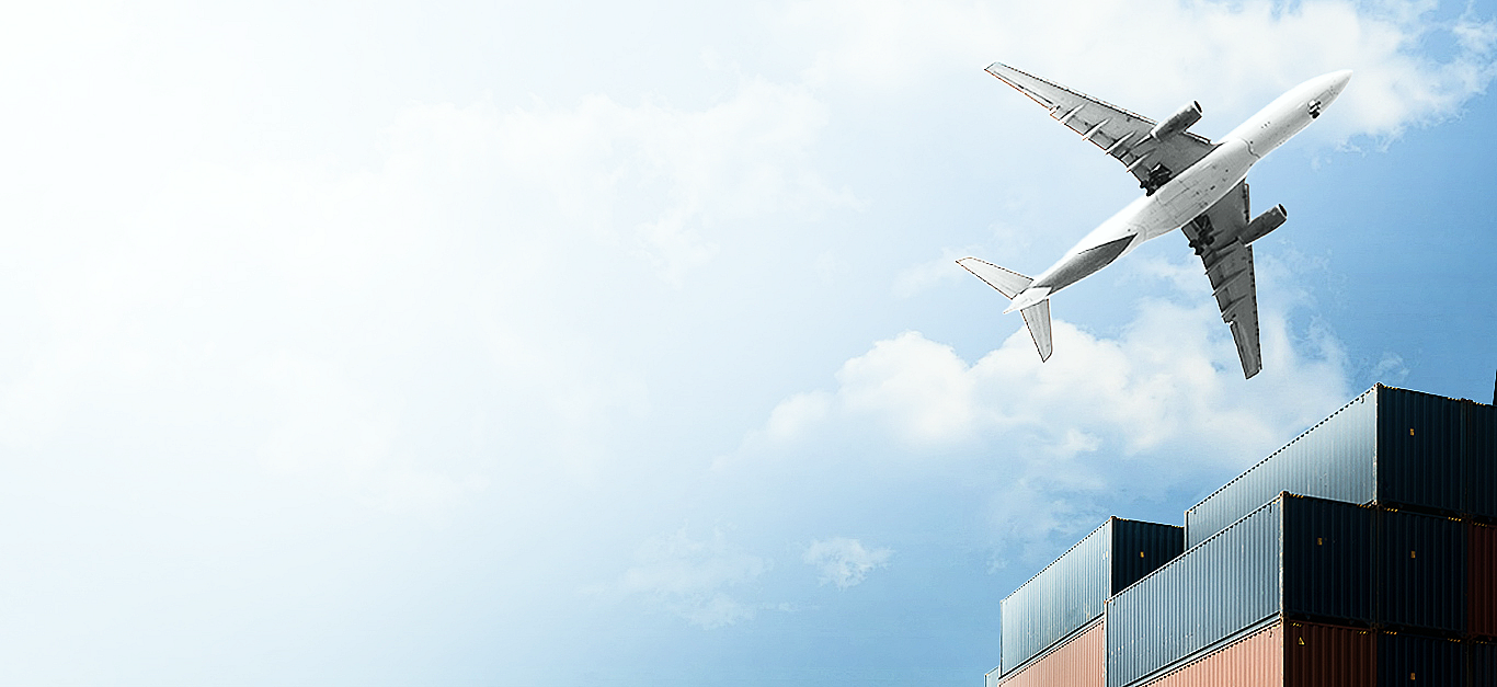We Extend Comprehensive End-to-End Solutions through Our Total Logistics Services Worldwide